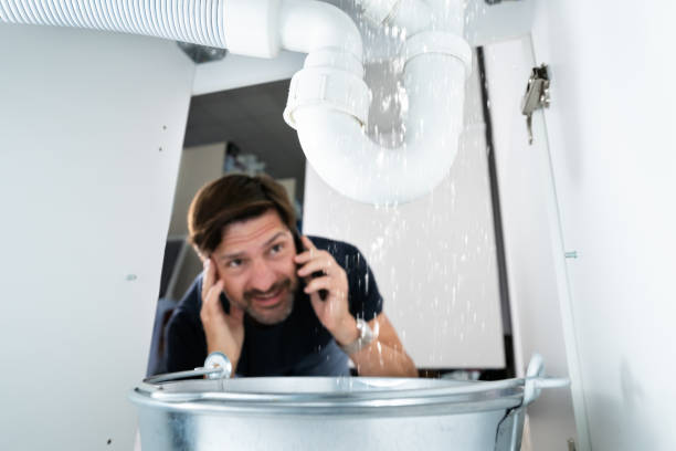 Best Plumbing Inspection Services  in Fort Denaud, FL