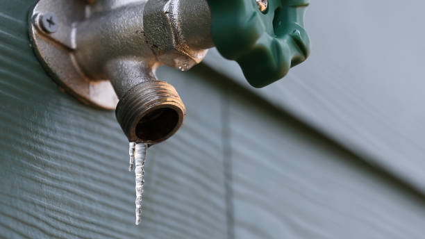 Best Affordable Plumbing Services  in Fort Denaud, FL