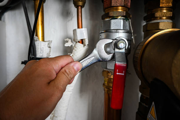 Best Plumbing Services Near Me  in Fort Denaud, FL